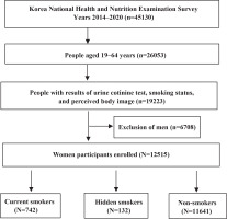 https://www.tobaccoinduceddiseases.org/f/fulltexts/194098/TID-22-170-g001_min.jpg